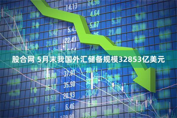 股合网 5月末我国外汇储备规模32853亿美元