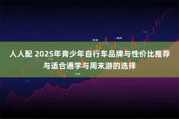 人人配 2025年青少年自行车品牌与性价比推荐与适合通学与周末游的选择