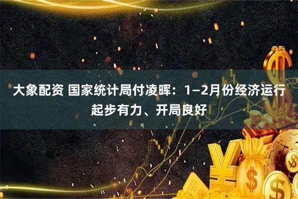 大象配资 国家统计局付凌晖：1—2月份经济运行起步有力、开局良好